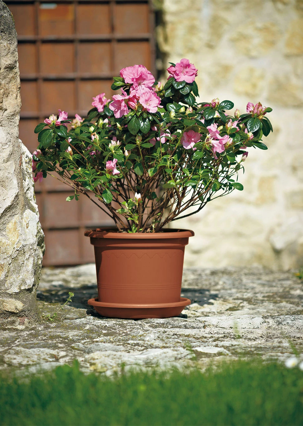 VASO Euro3plast fioriera Geo plastica 45cm cilindro giardino piante terracotta - immagine 3