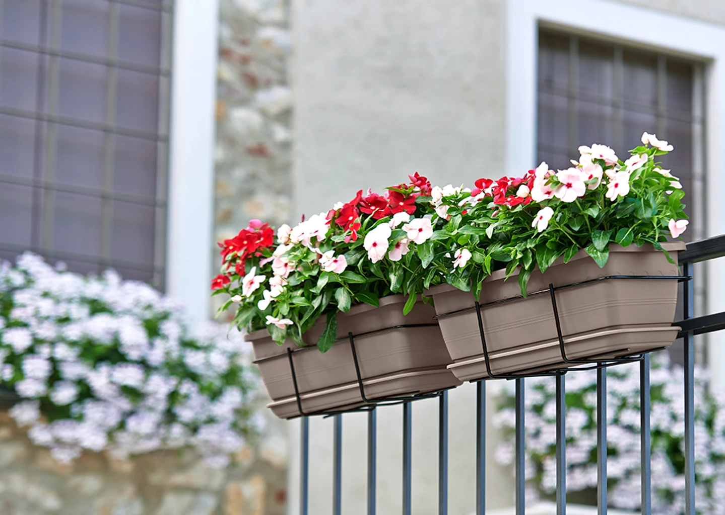 VASO cassetta fioriera 40-50-60 c/sotto fiori balcone tortora Euro3plast Inis - immagine 3