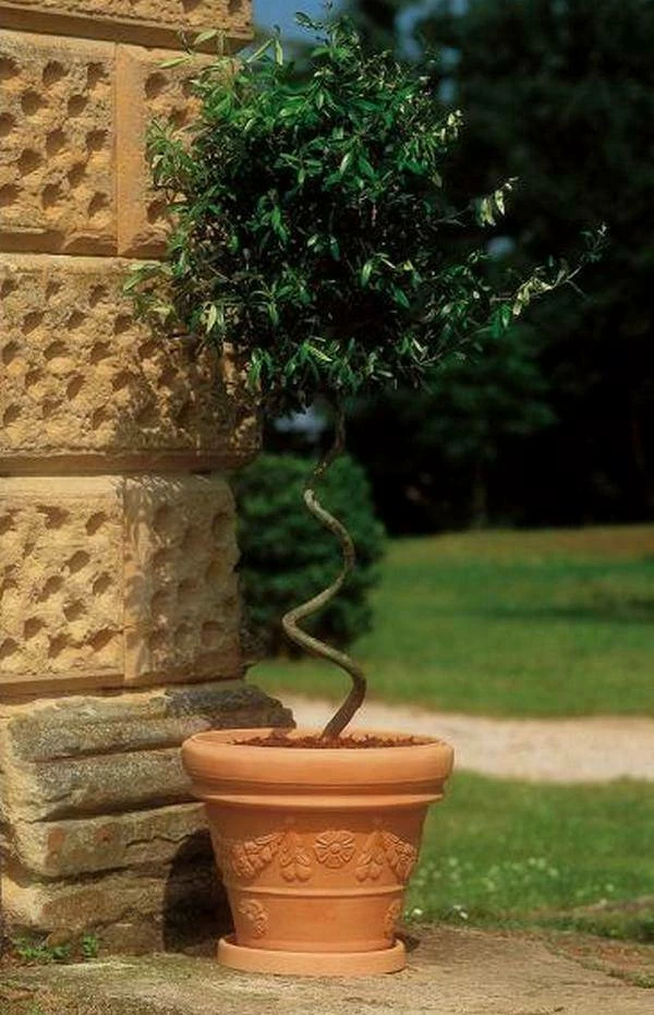 SOTTOVASO Euro3plast RESINA tondo Terra di Siena cm. 28-32-35-37-43-45-50-54 EUR - immagine 3